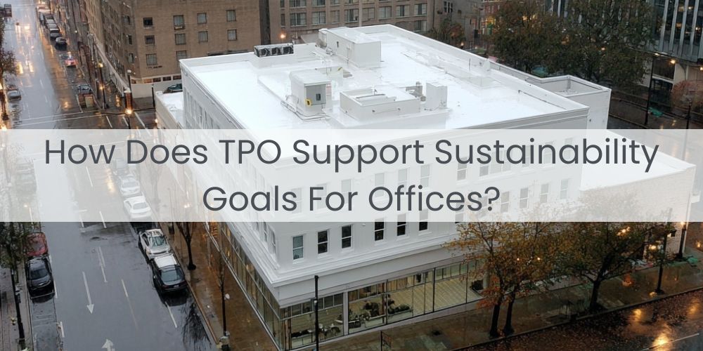 blog/how-does-tpo-support-sustainability-goals-for-offices.jpg