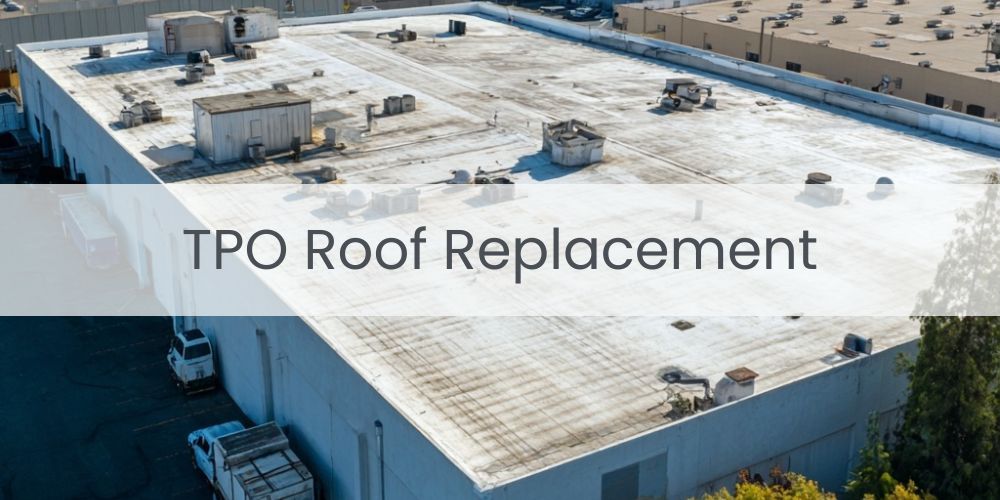 services/tpo-roof-replacement.jpg