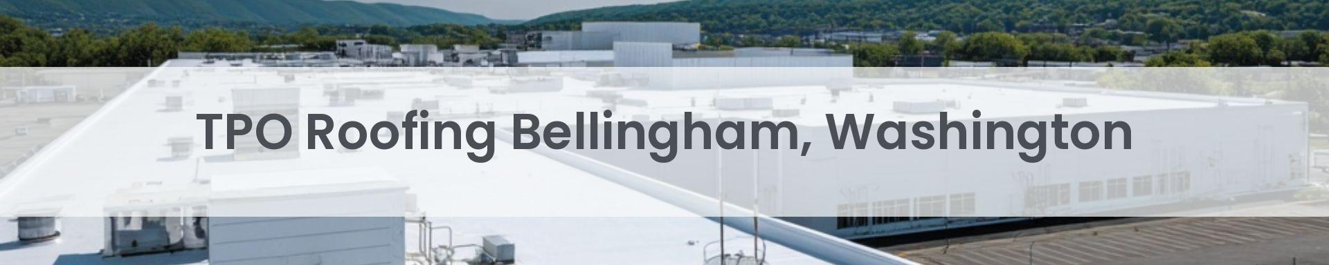 tpo roofing Bellingham, Washington